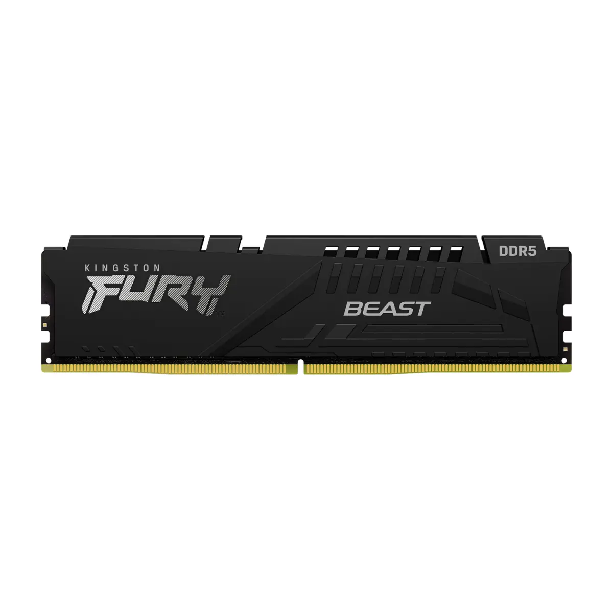 Memoria PC Fury DDR5 16GB 5600 Beast Negra